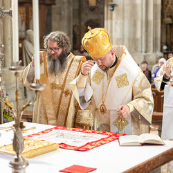Priesterweihe Byzantinischer Ritus im Stephansdom / Erzdiözese Wien/ Schönlaub