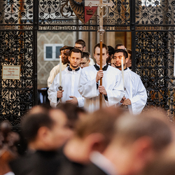 Diakonenweihe 2024 / Erzdiözese Wien/ Schönlaub