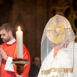 2025 Karfreitag / Erzdiözese Wien/Schönlaub