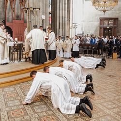 Diakonenweihe 2024 / Erzdiözese Wien/ Schönlaub
