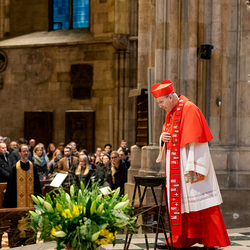 Erzdiözese Wien/ Schönlaub, Stephan Schönlaub