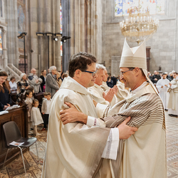Diakonenweihe 2024 / Erzdiözese Wien/ Schönlaub
