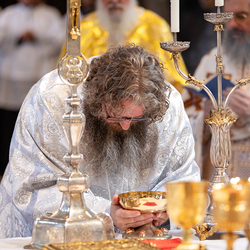 Priesterweihe Byzantinischer Ritus im Stephansdom / Erzdiözese Wien/ Schönlaub
