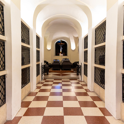 Dies Academicus 2024 / Erzdiözese Wien/Schönlaub